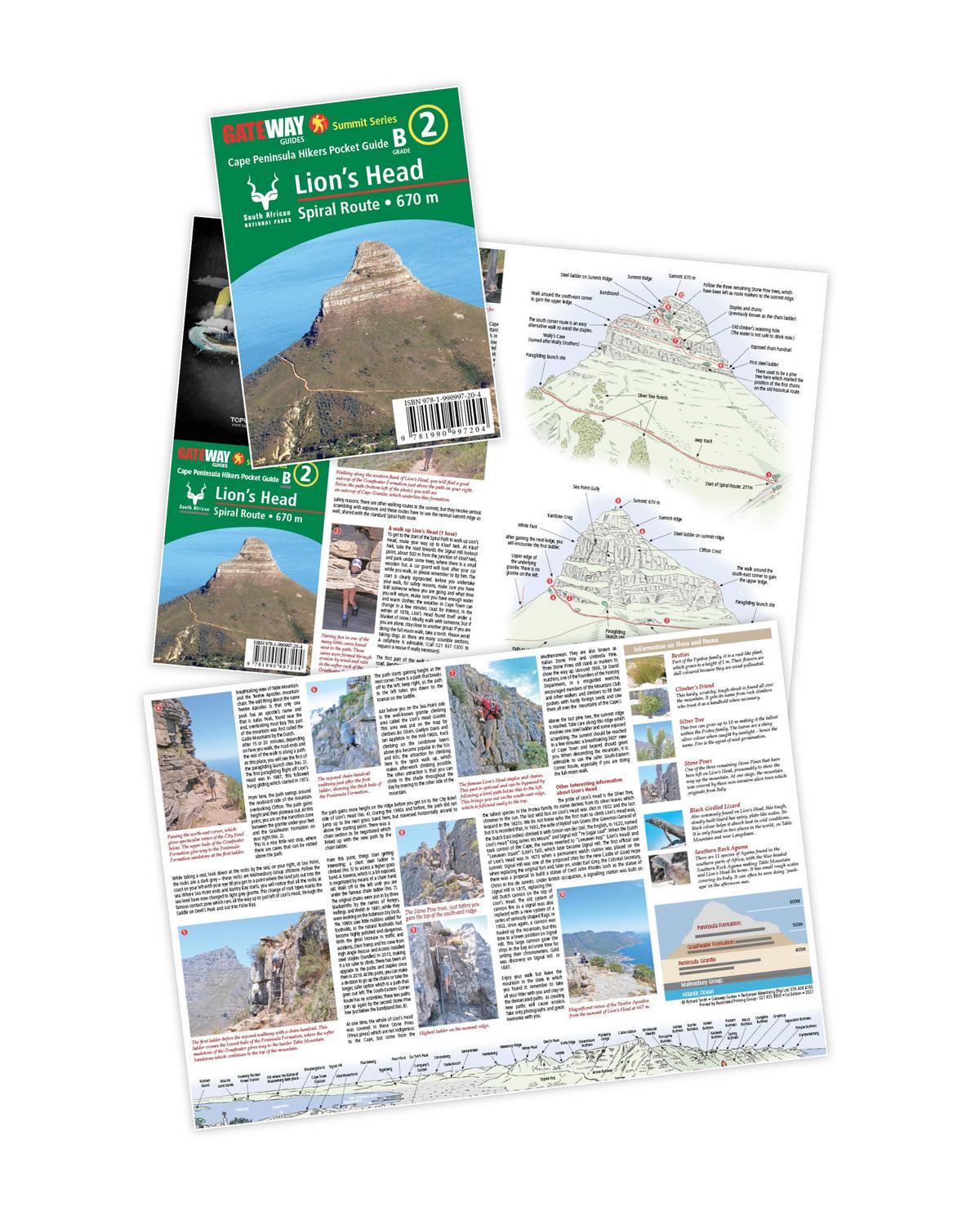 Go That Way Lion’s Head Spiral Route Hiking Guide
